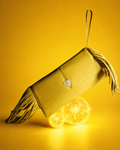 THE SUN CLUTCH